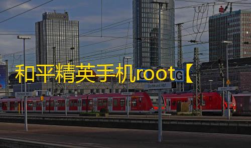 和平精英手机root【鸭鸭子内核】科技