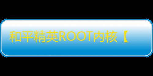 和平精英ROOT内核【LY】外挂